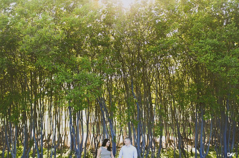 Blue Trees Houston Engagement Photos