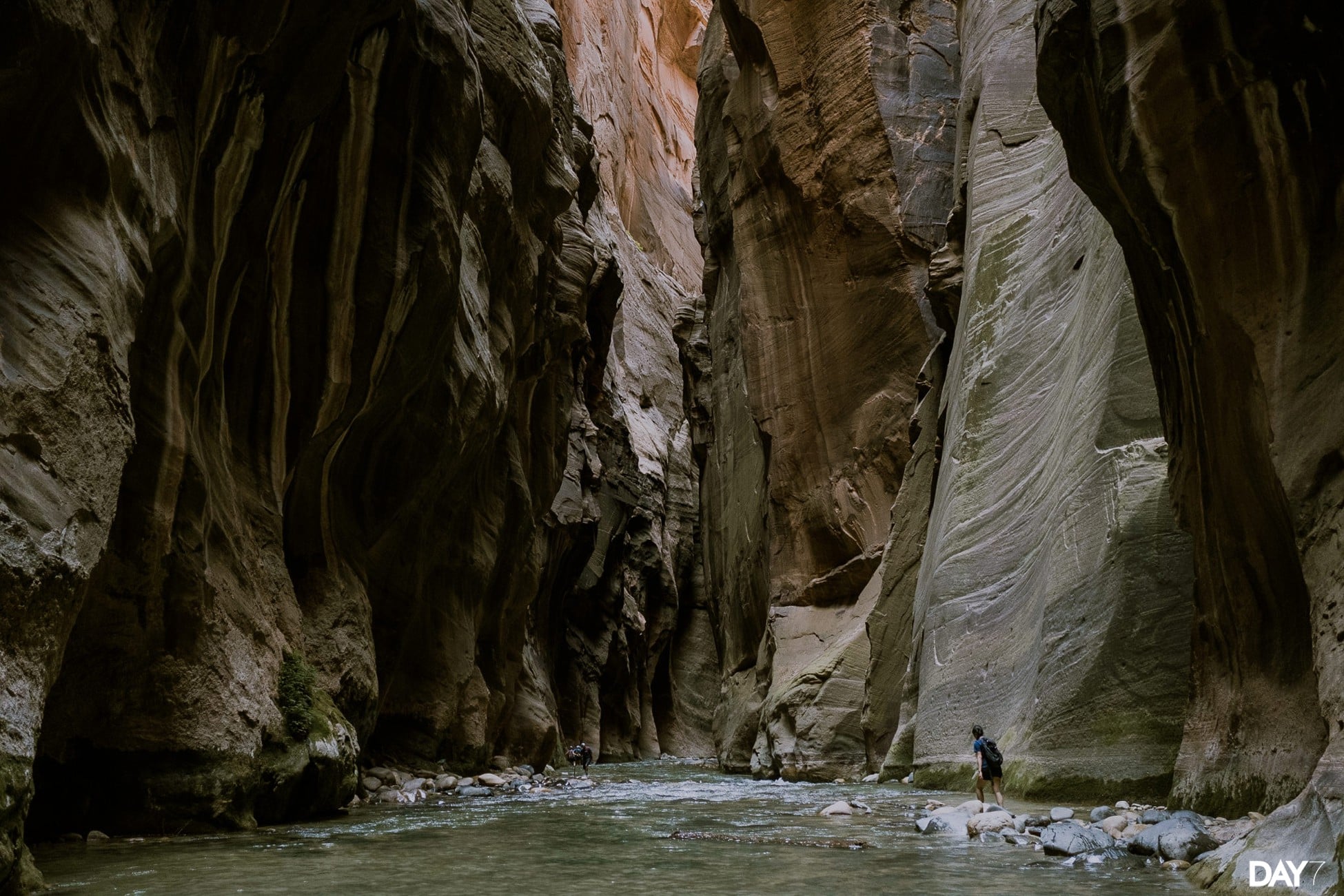 Zion National Park Photography | Travel Photographer